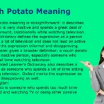 Couch Potato Meaning