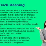 Odd Duck Meaning